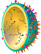 Influenza Impfaktion